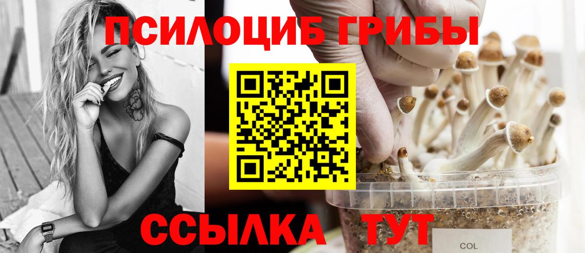 Галлюциногенные грибы прущие грибы  Вход с VPN  Ревда  купить  сайты  Псилоцибиновые грибы Cubensis 